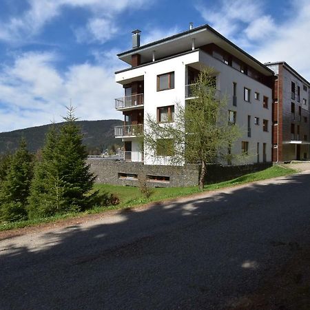 Apartmány Michael Špindlerŭv Mlýn Esterno foto